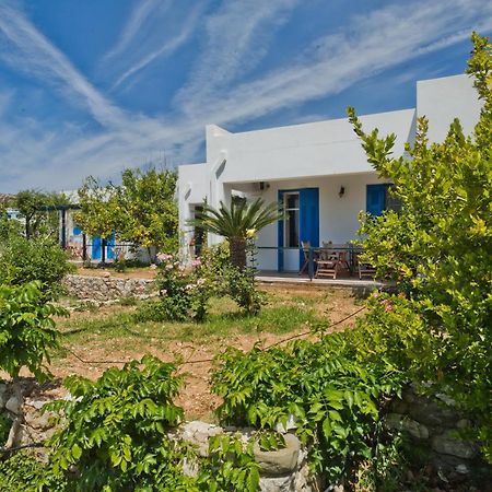 Pleiades Apartments Lefkos  Eksteriør billede