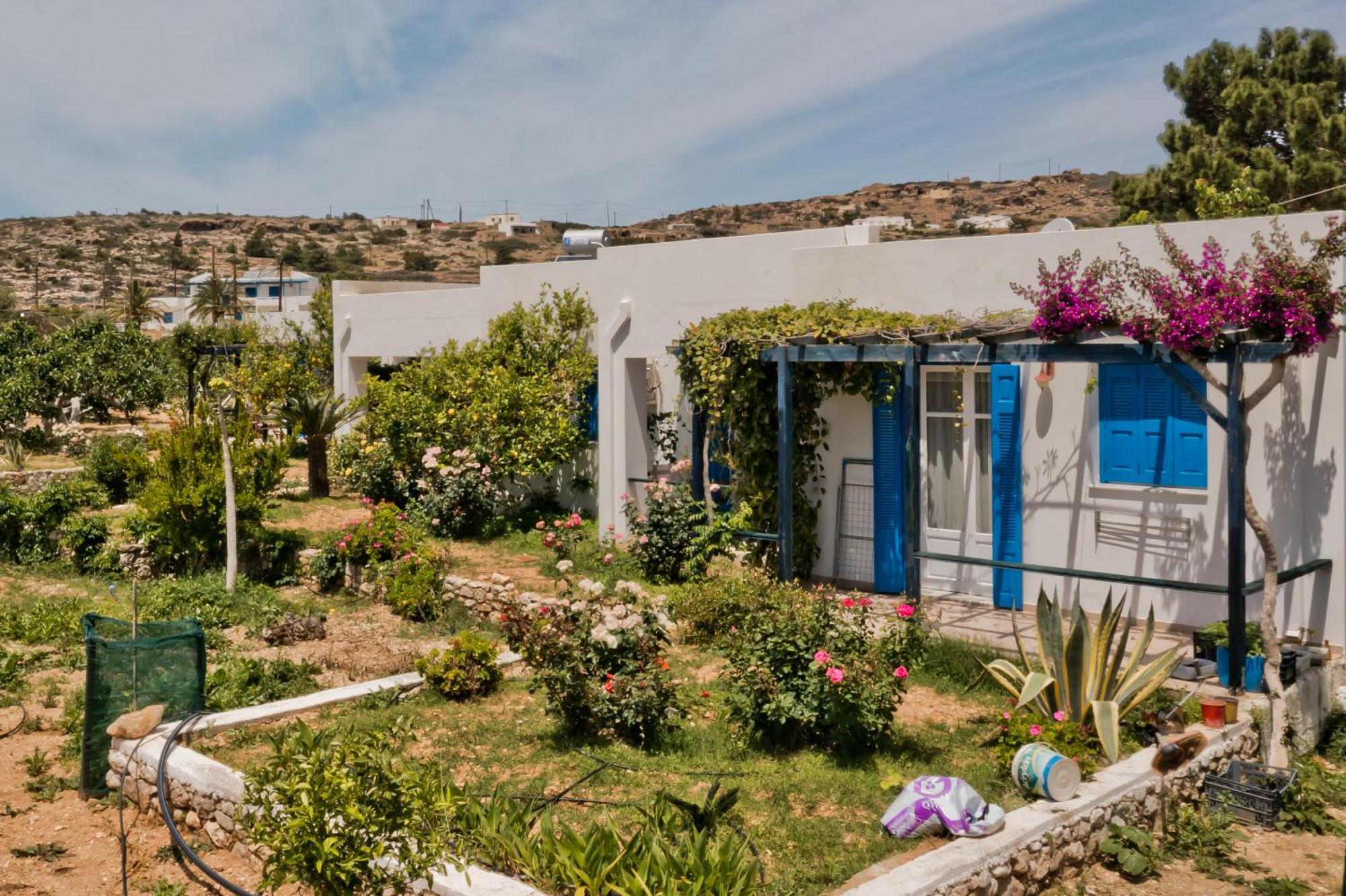 Pleiades Apartments Lefkos  Eksteriør billede